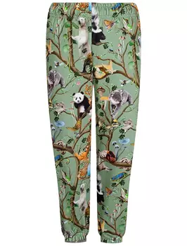 Брюки спортивные Molo