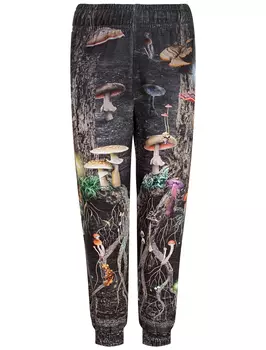 Брюки спортивные Molo