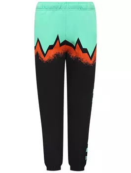 Брюки спортивные MOLO