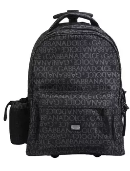 Чемодан Dolce & Gabbana