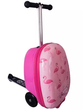 Чемодан Zinc Flyte