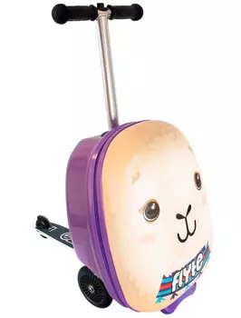 Чемодан Zinc Flyte