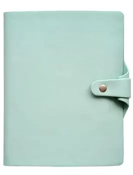 Ежедневник Infolio