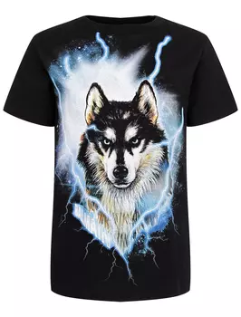 Футболка Balmain