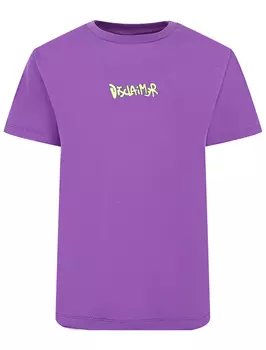 Футболка DISCLAIMER