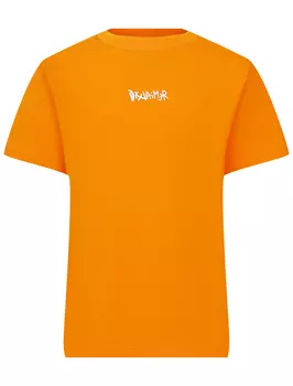 Футболка DISCLAIMER