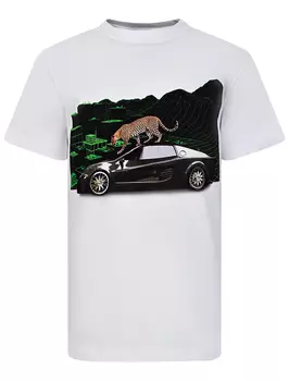 Футболка MOLO