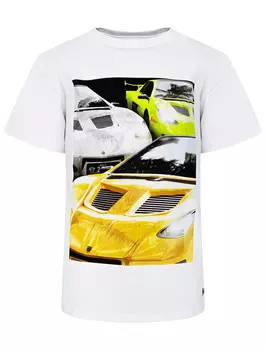 Футболка MOLO