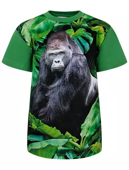 Футболка MOLO