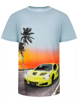 Футболка MOLO