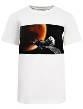 Футболка MOLO