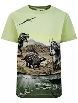 Футболка MOLO