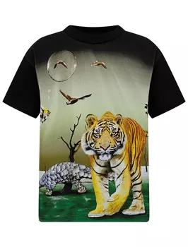 Футболка MOLO