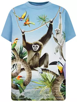 Футболка MOLO