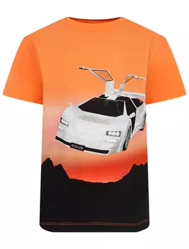 Футболка MOLO