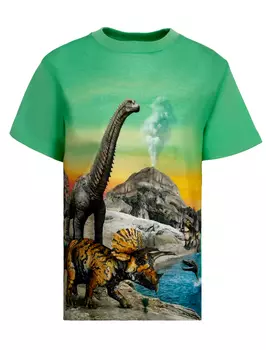 Футболка MOLO