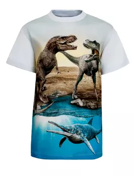 Футболка MOLO