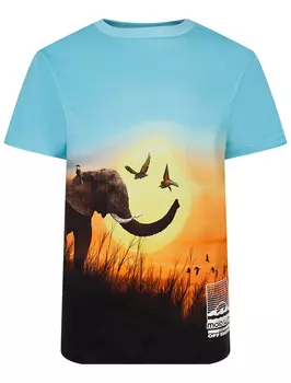 Футболка MOLO