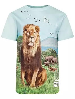 Футболка MOLO