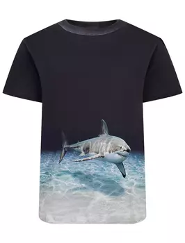 Футболка Molo