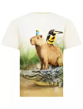 Футболка MOLO