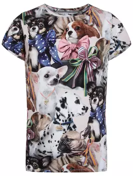 Футболка MOLO