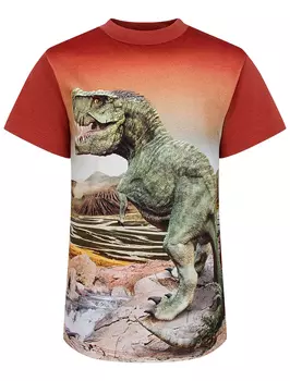 Футболка MOLO