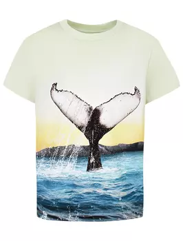 Футболка MOLO