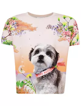 Футболка Molo