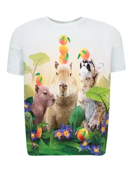 Футболка MOLO