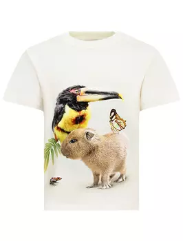 Футболка MOLO