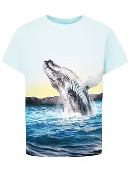 Футболка Molo