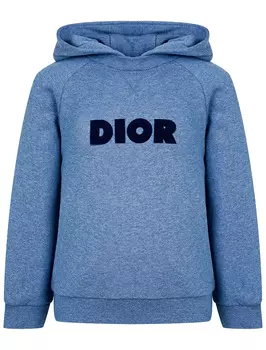 Худи Dior