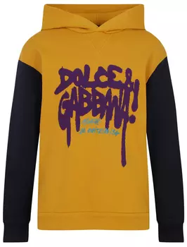 Худи Dolce & Gabbana