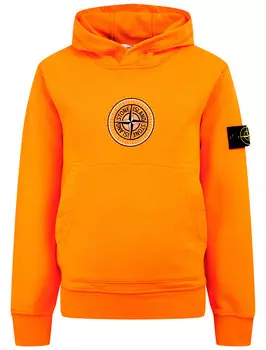 Худи Stone Island