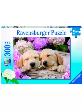 Игрушка Ravensburger