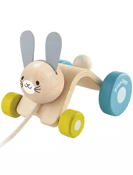 Игрушка развивающая PLAN TOYS