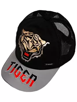 Кепка Il Trenino