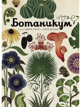 Книга АЗБУКА АТТИКУС