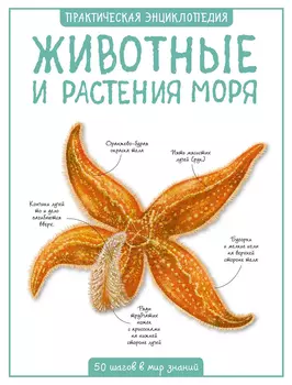 Книга ИГ Азбука-Аттикус