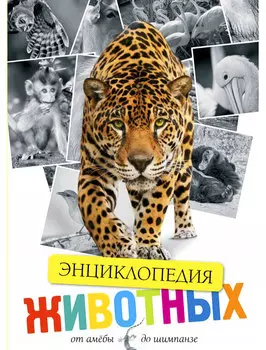 Книга АЗБУКА АТТИКУС