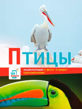 Книга Стрекоза