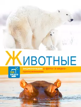 Книга Стрекоза