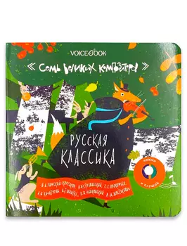 Книга VoiceBook