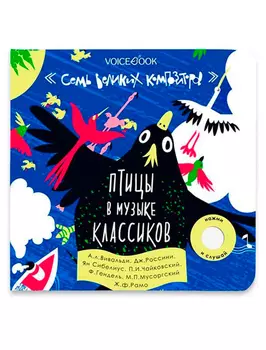 Книга VoiceBook