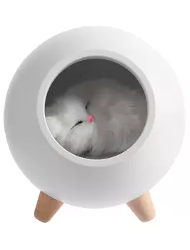 Колонка Molti