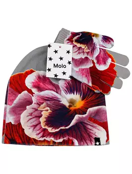 Комплект аксессуаров MOLO