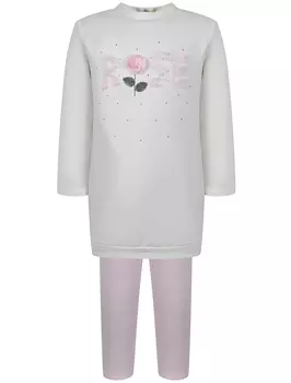 Комплект из 2 шт. EMC