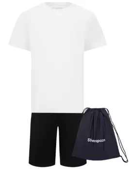 Комплект из 2 шт. SILVER SPOON