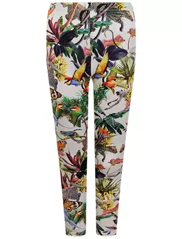 Леггинсы MOLO